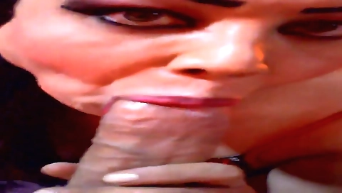 Traviti sex and shemale sex for a shemale porn movie