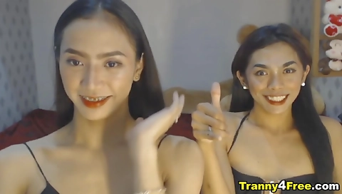 Amateur shemale gets double fucked in hot sex clip