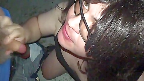 Two brunette chicks with throbbing deep throats swallowing cum